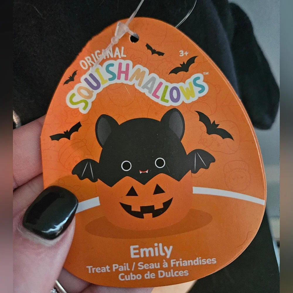 Squishmallows questions leave