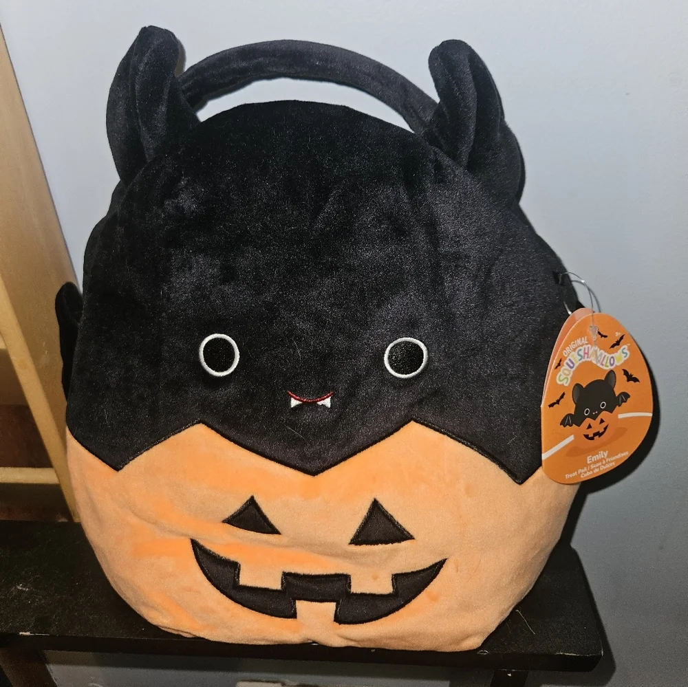 Squishmallows questions leave