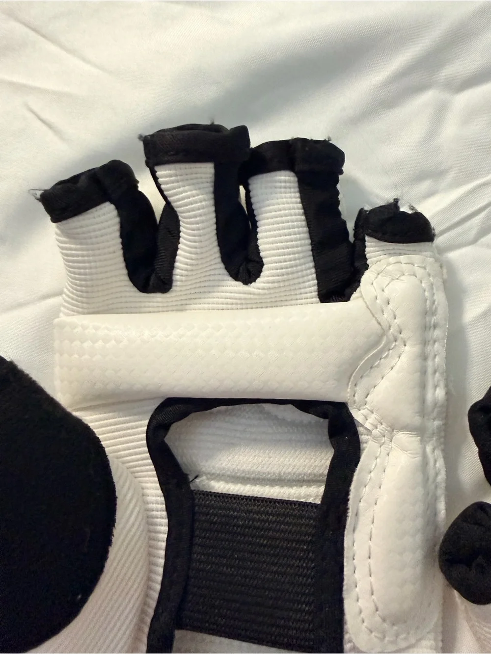 N/A taekwondo sparring
