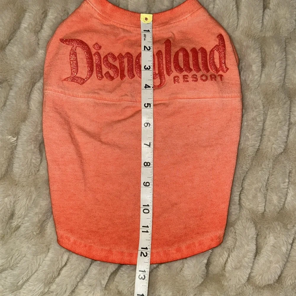 Disney disneyland resort