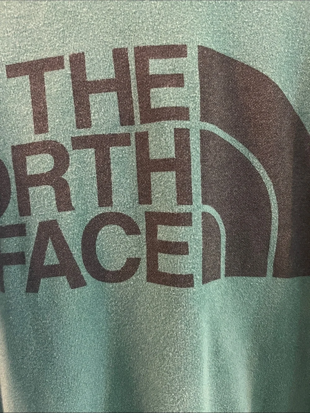 The North Face Green Hoodie with Black Logo