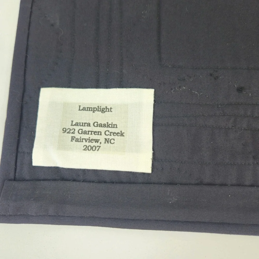 Laura Gaskin Lamplight Fruit Hand Embroidered Quilted Wall Hanging 2007 NC Art M