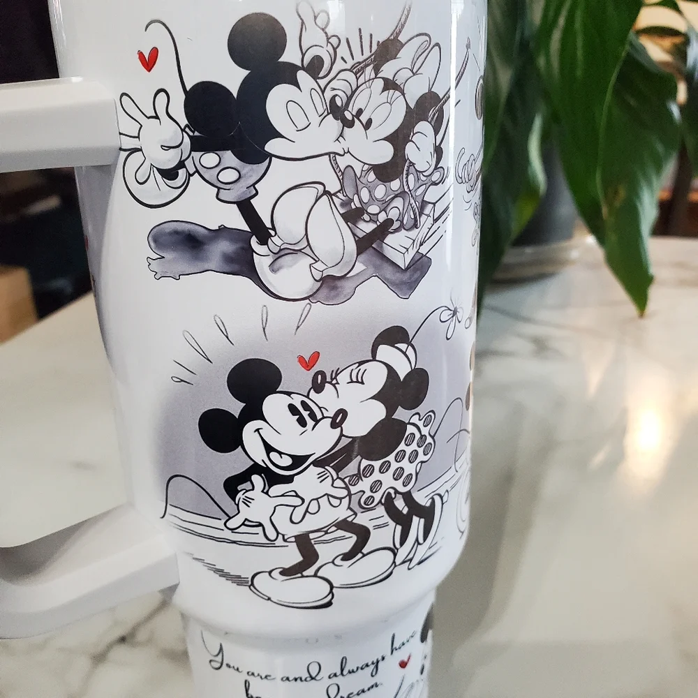 Artisan mickey minnie