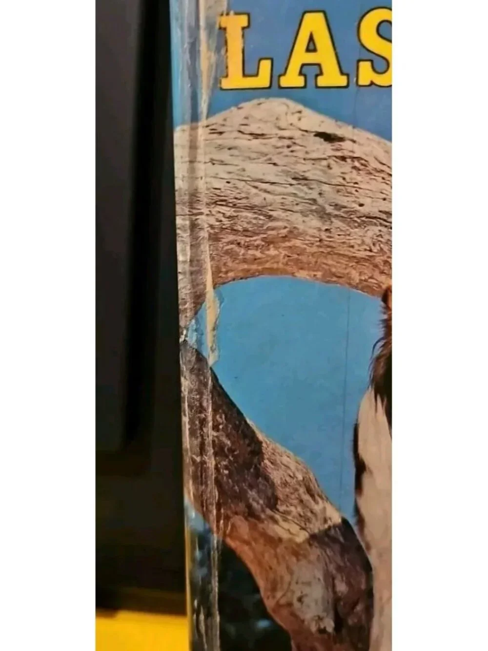 Lassie and the Secret of the Summer Hardcover Book by Dorothea Snow Vintage 1958