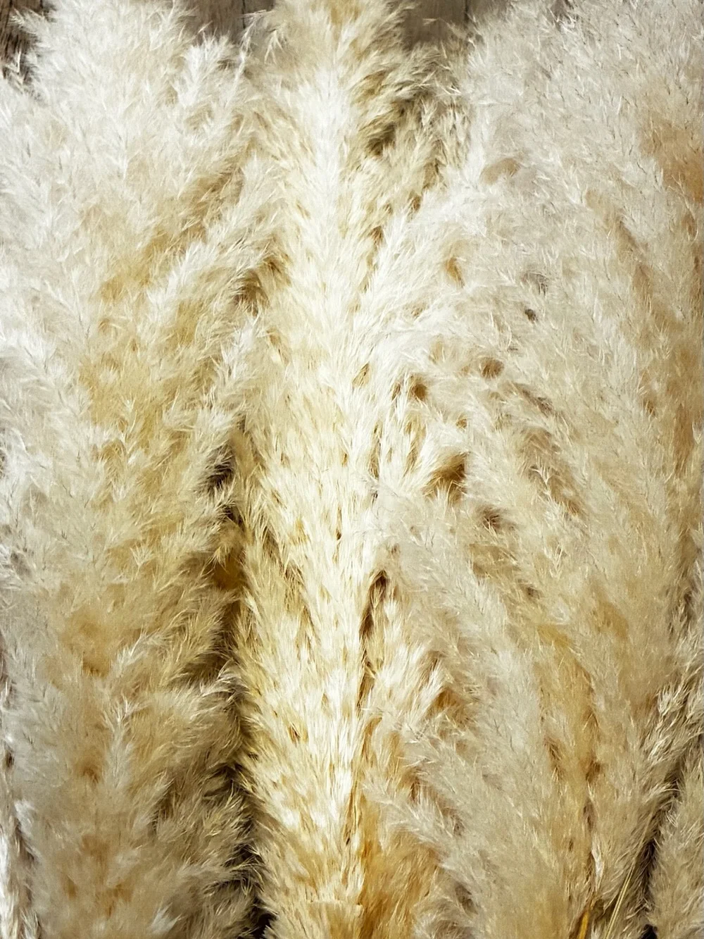 N/A soft cream