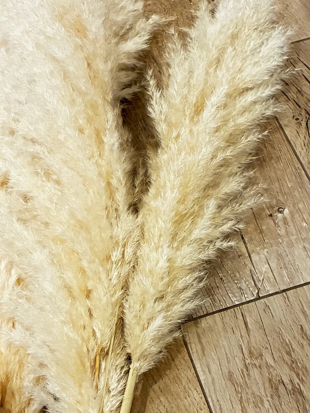 N/A soft cream