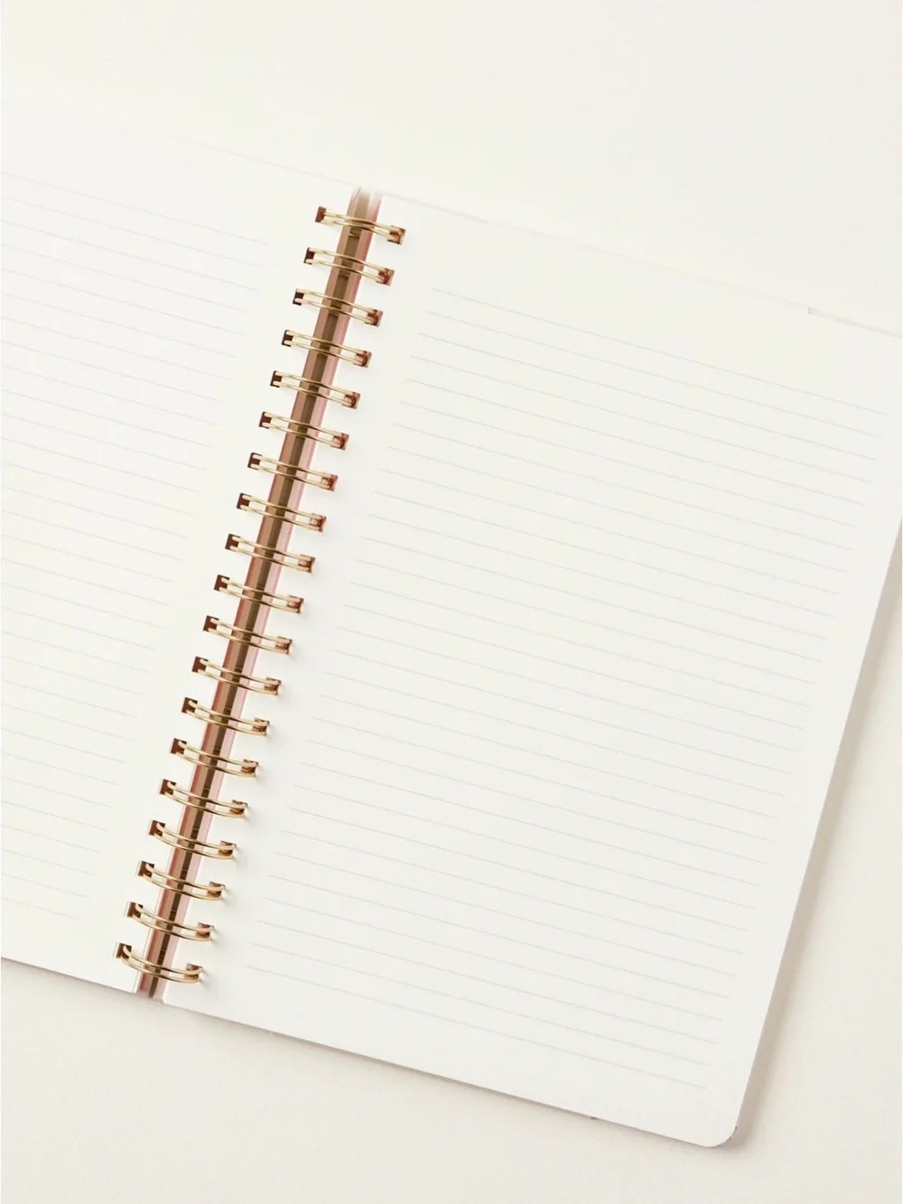 Anthropologie x Papier Spiral Lined Notebook