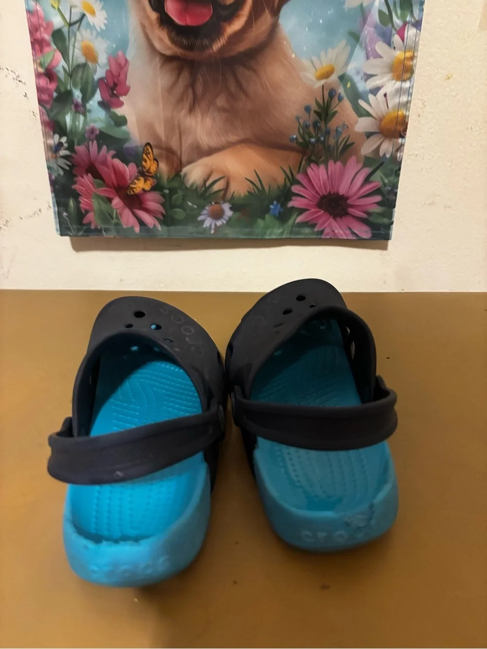 CROCS classic kids