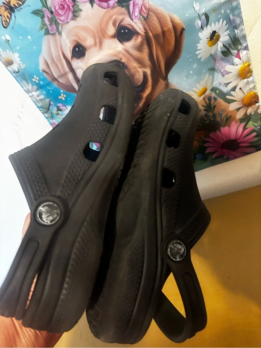 CROCS lightweight kids