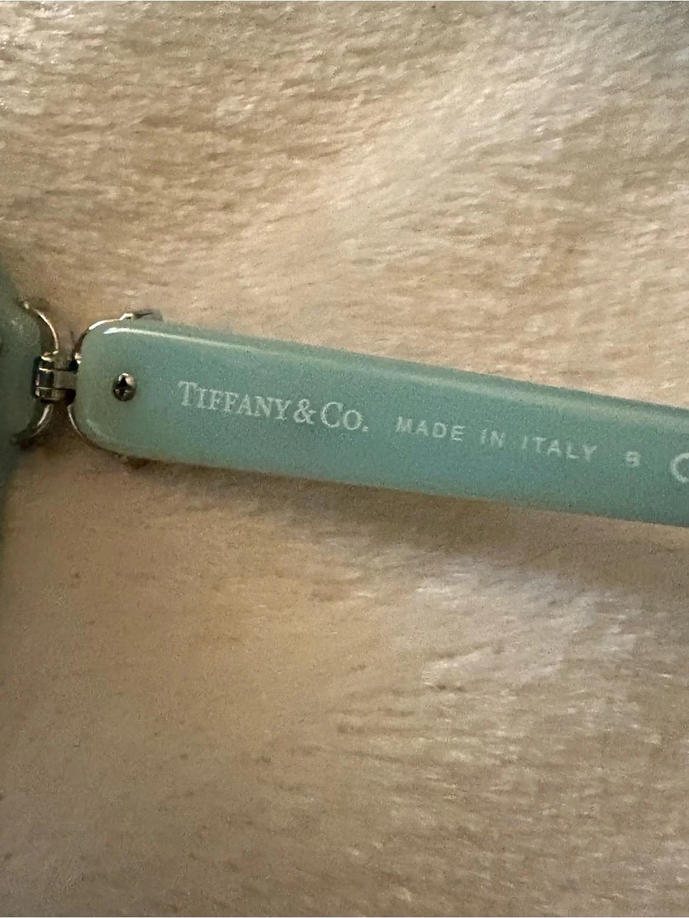 Tiffany & Co. bag new