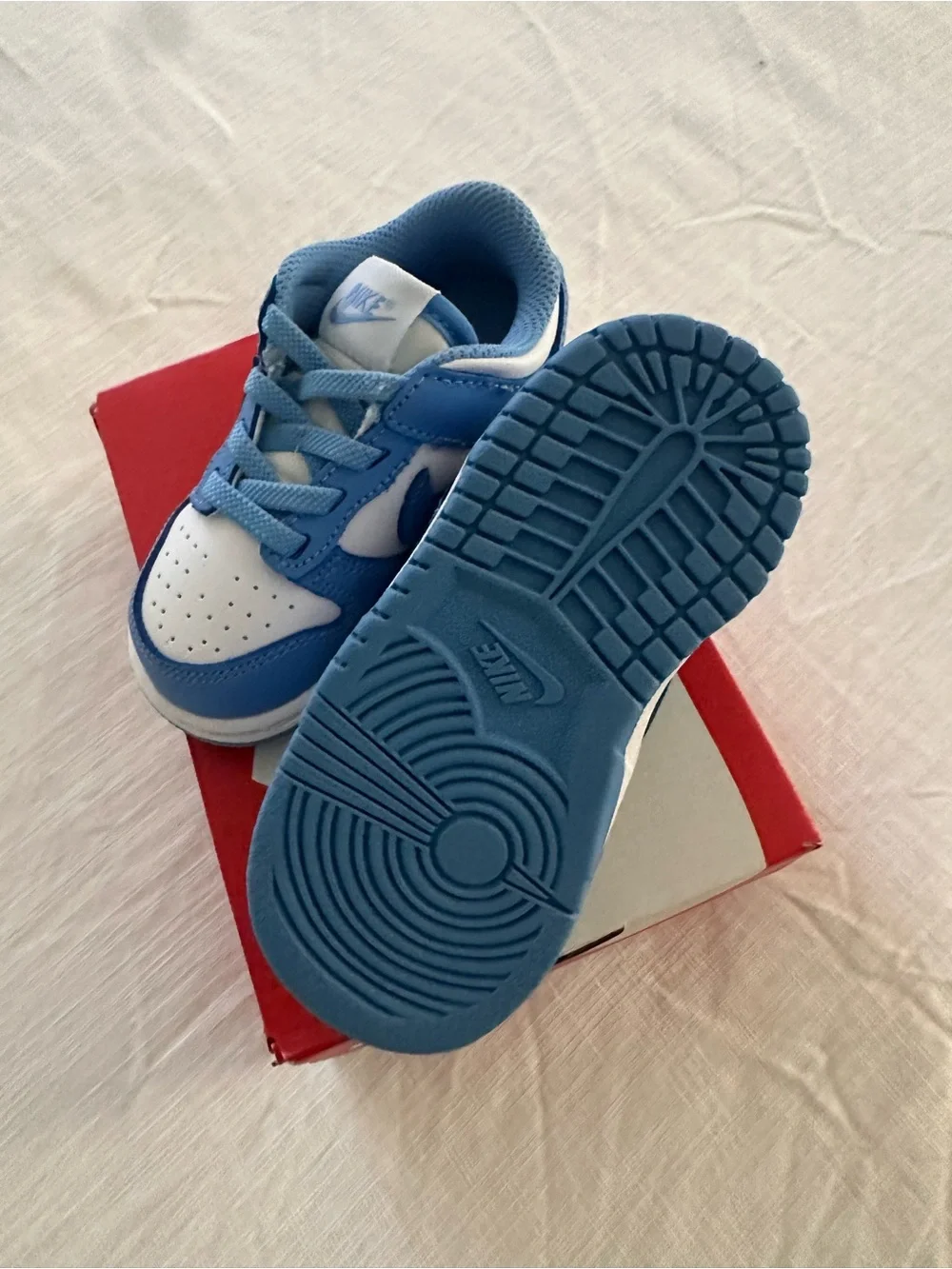 Nike Blue and White Dunk Low (TDE) Shoe Box