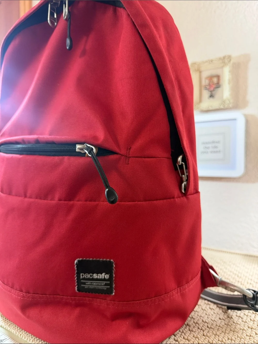 Pacsafe travel smarter