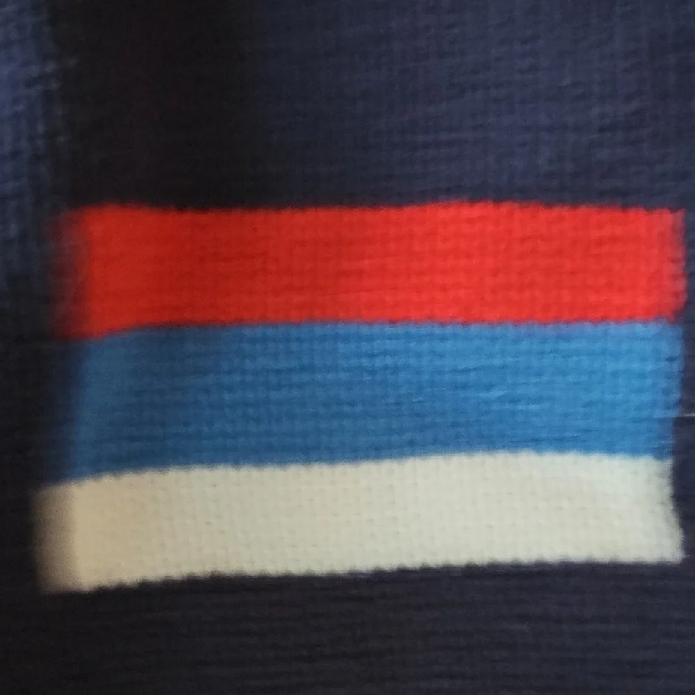 Gymboree boy flag