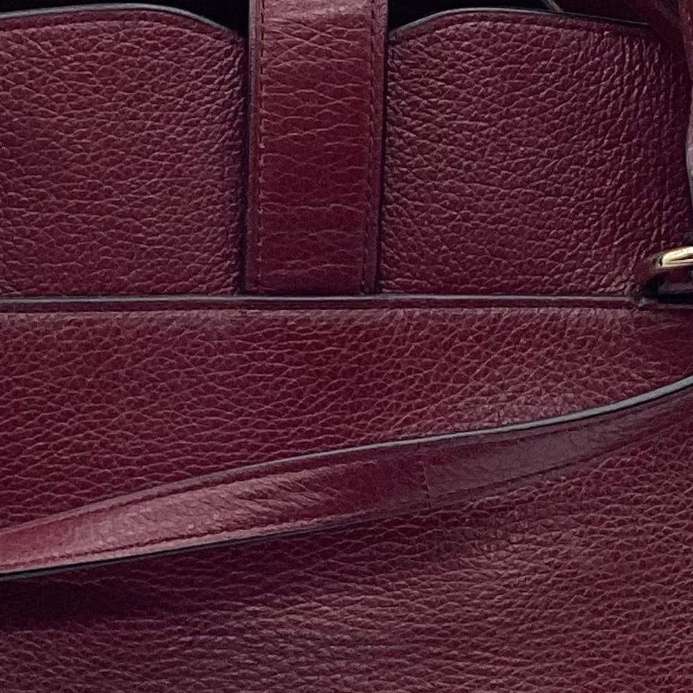 Coach description color