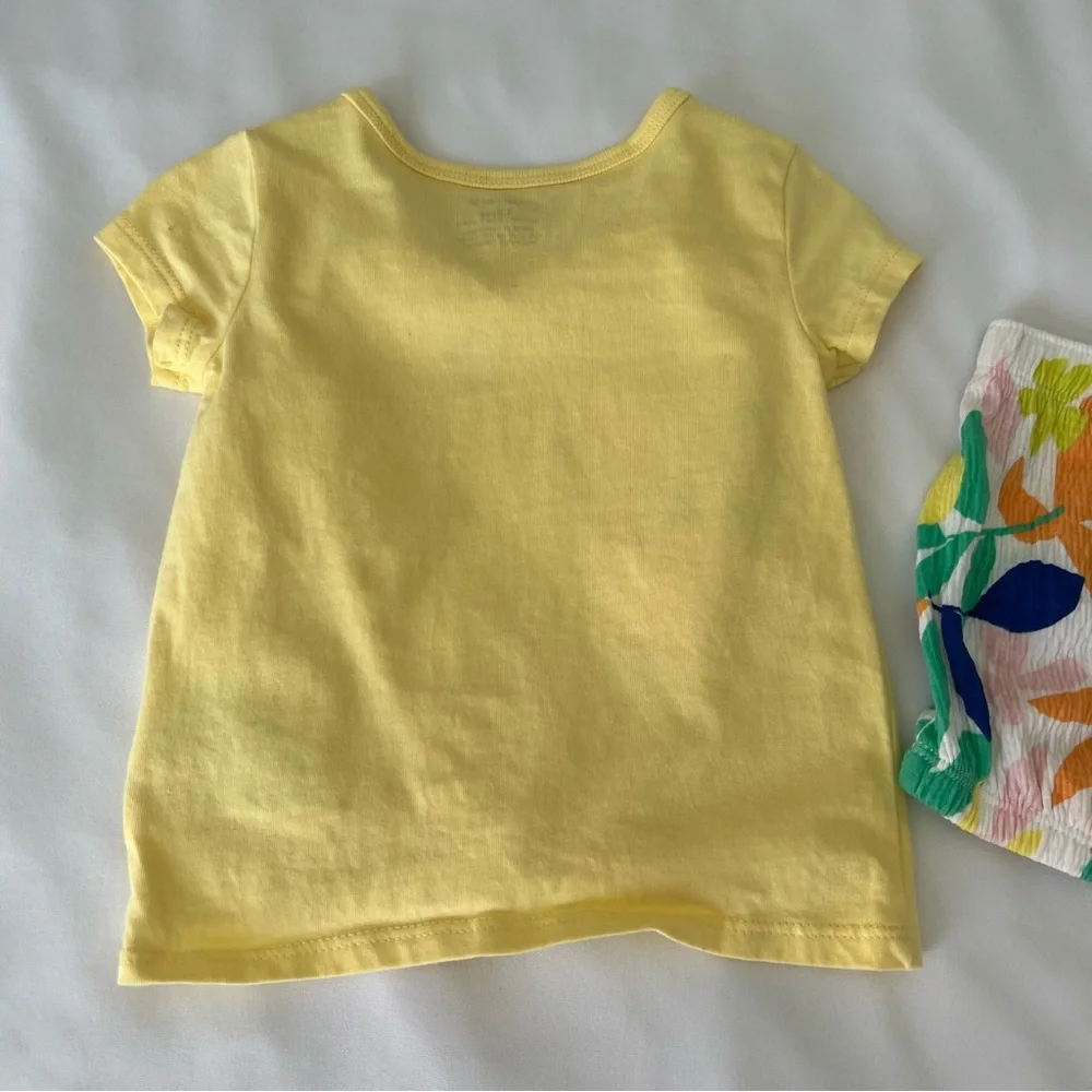 Toddler 2-Piece Flamingo Tee &‎ Short Set