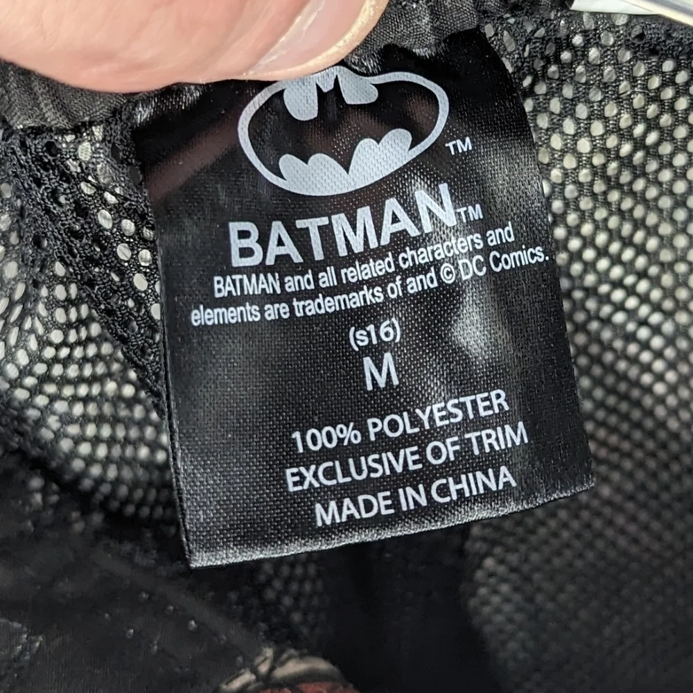 Batman and Robin Swim Trunks Men Medium