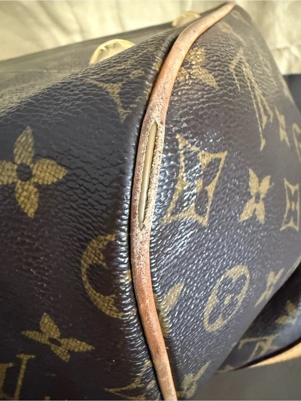 Louis Vuitton authentic louis