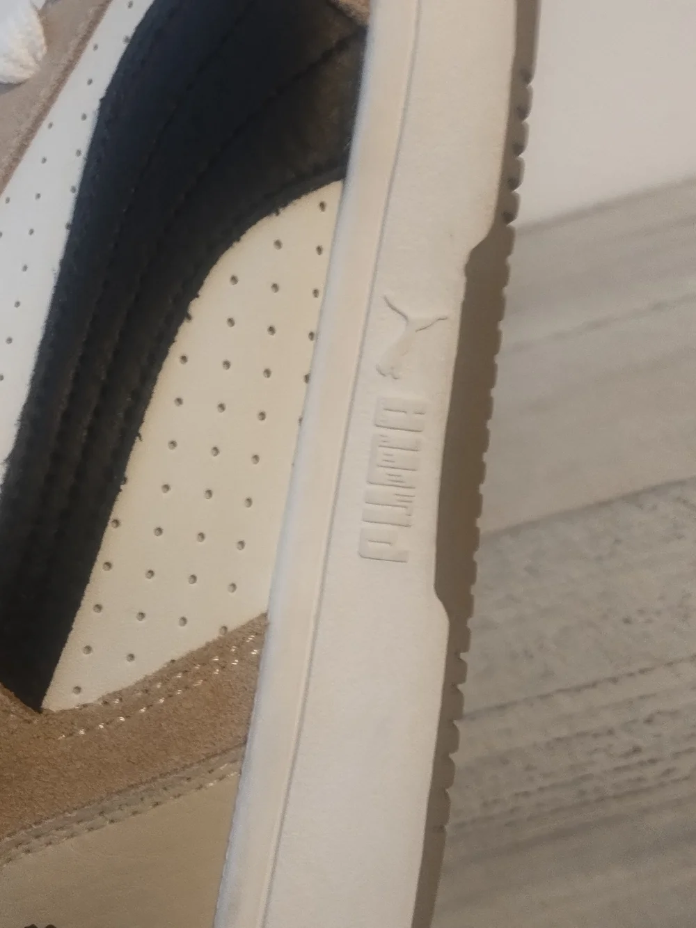 Puma rebound layup