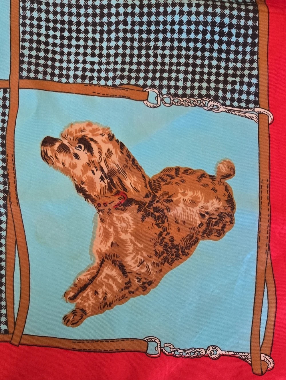 N/A picture dog