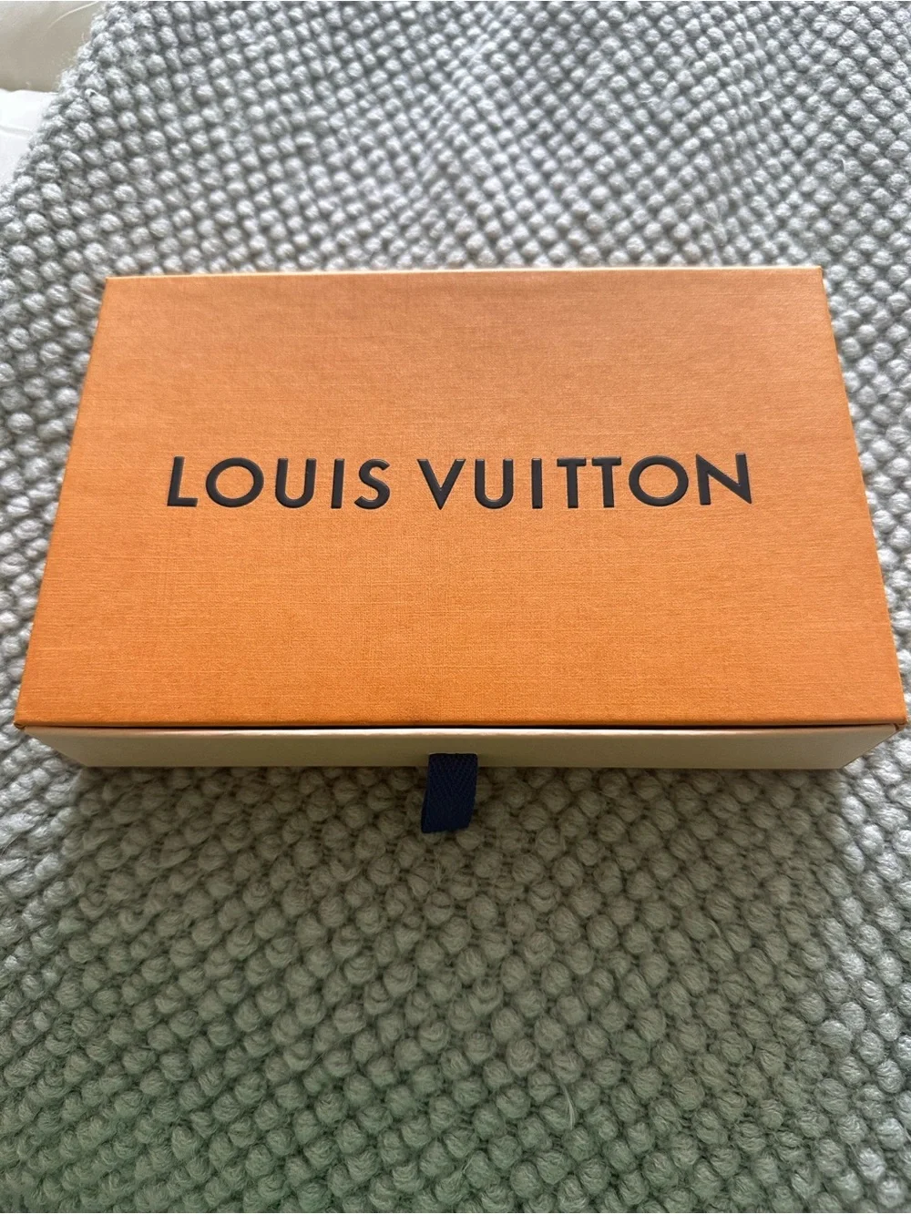 Louis Vuitton luxurious louis