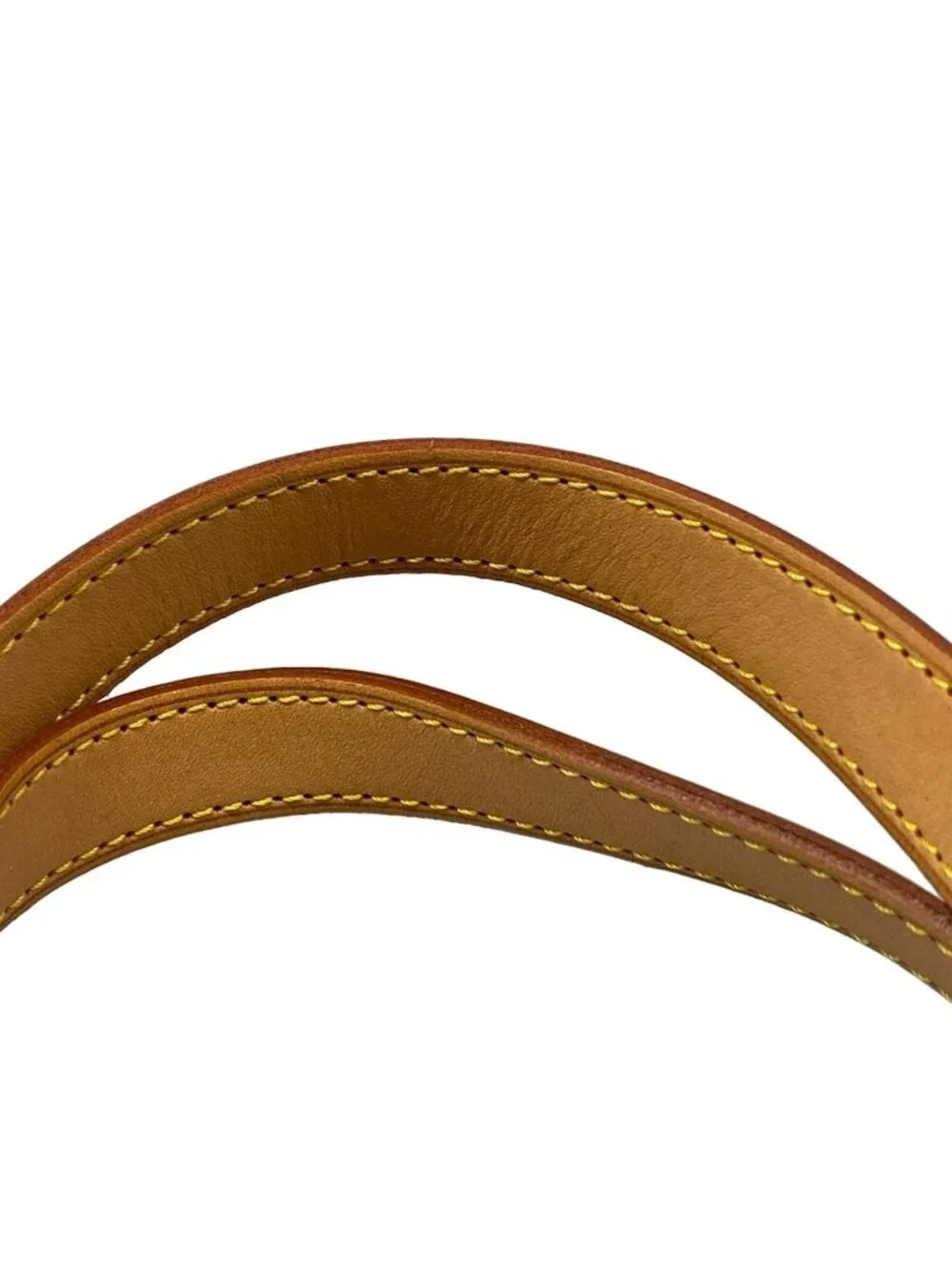 Louis Vuitton brand louis