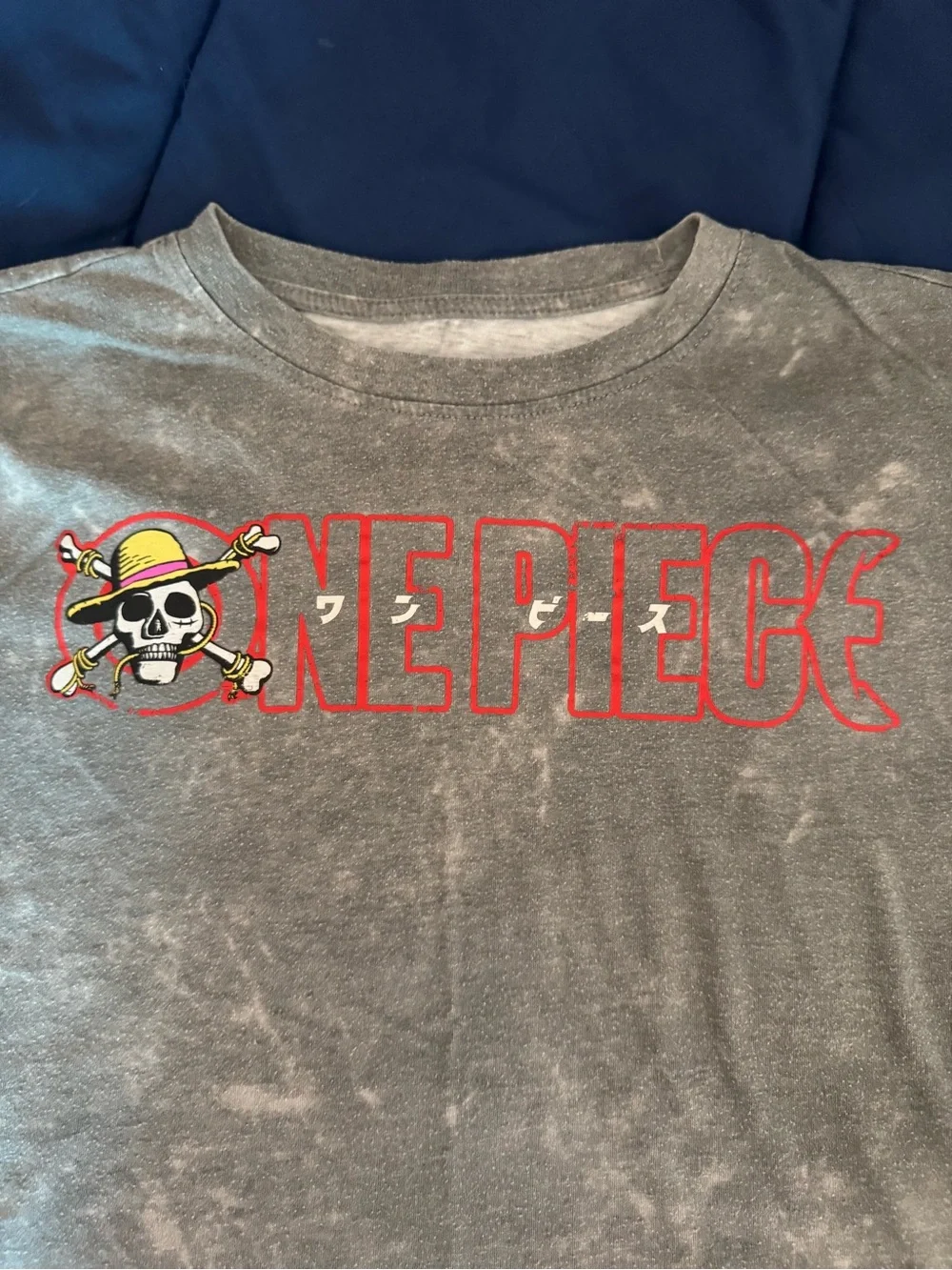Onepiece Grey Kids Tee with Red Logo