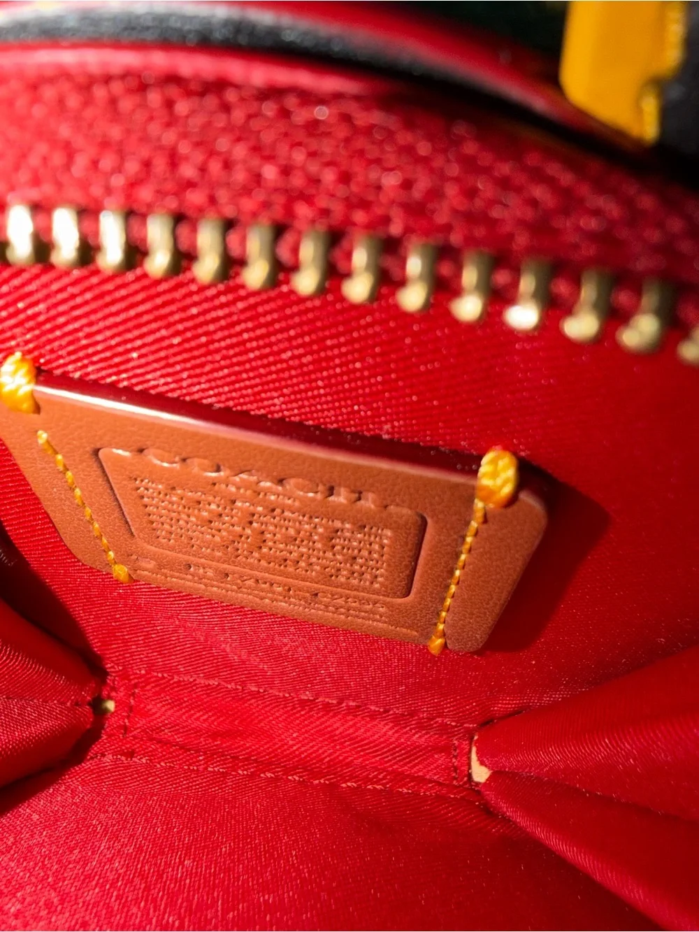 Coach cute coin