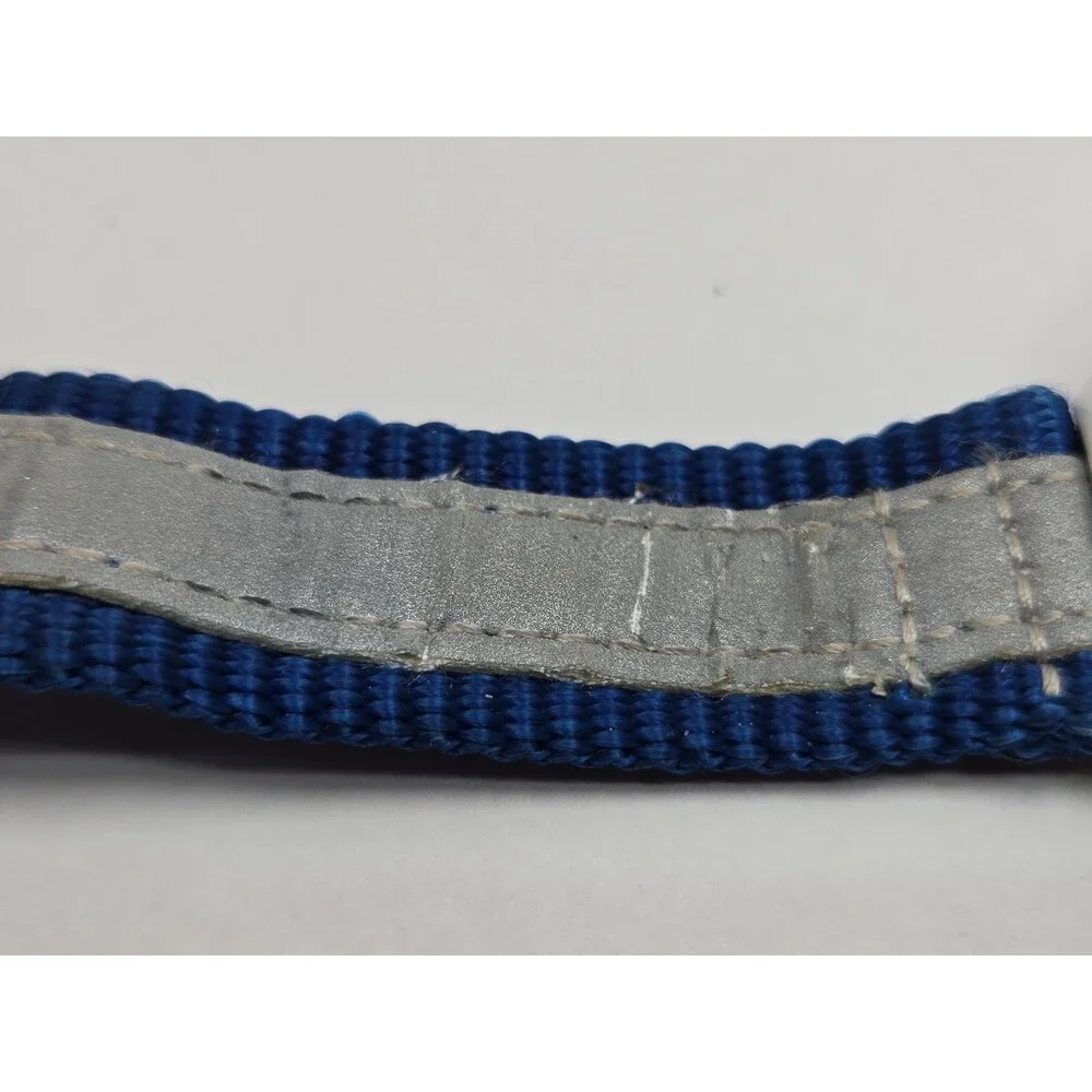Pulsar watch band