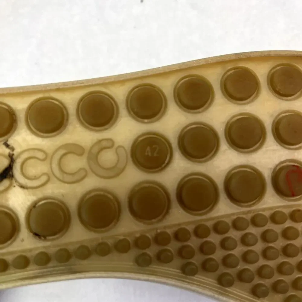 Ecco experience superior