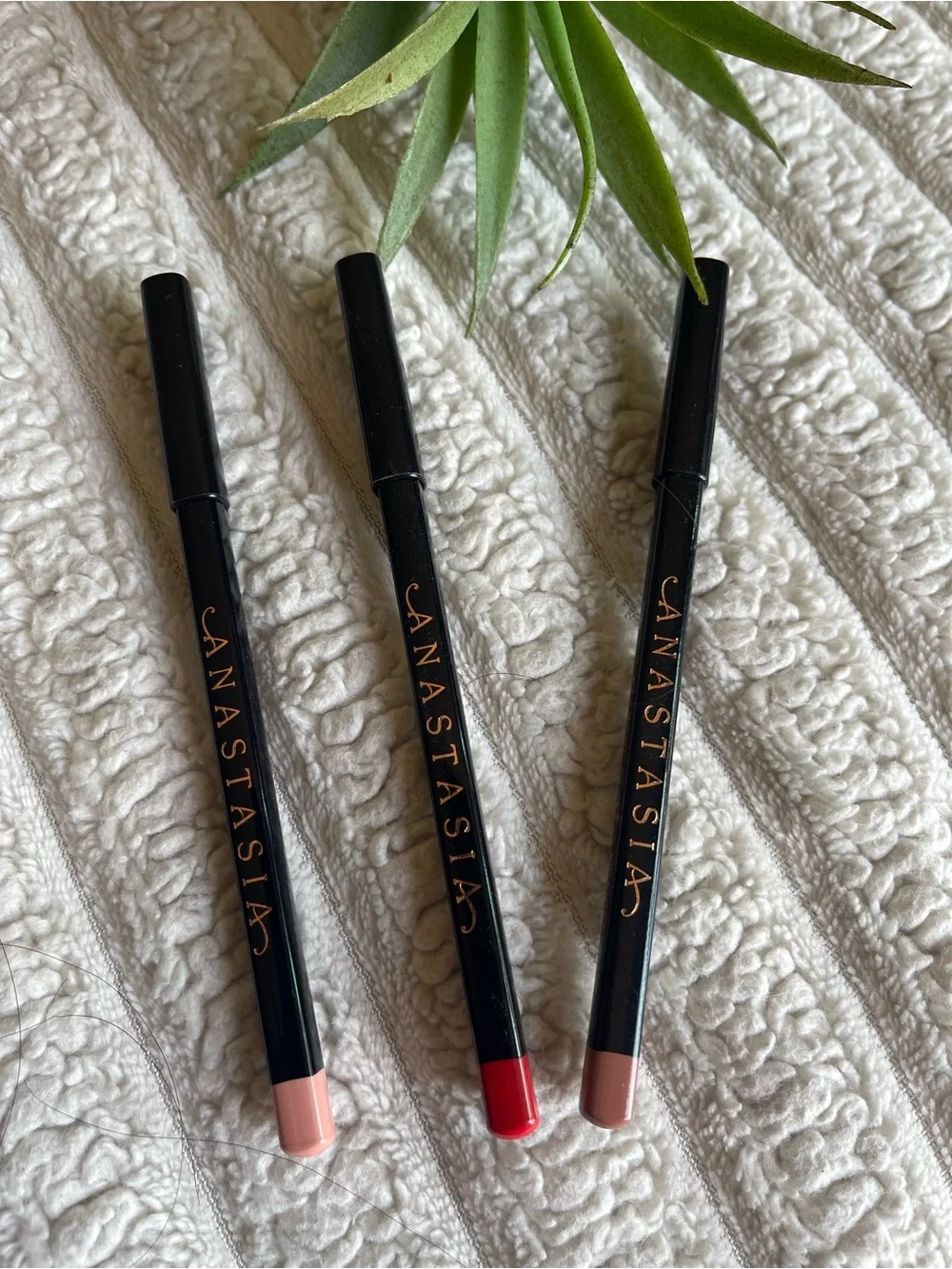 Anastasia three lip