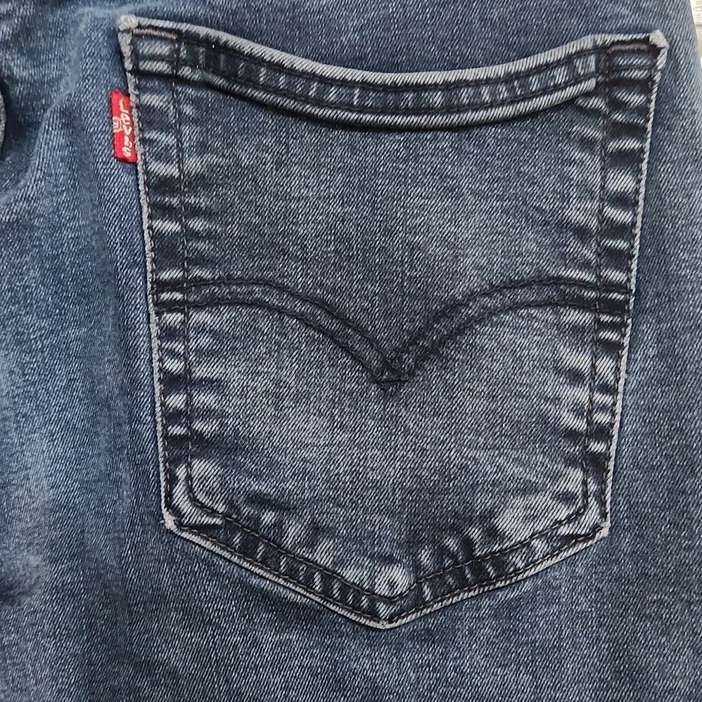 Levis questions