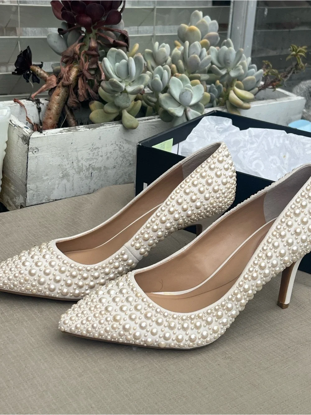 INC International Concepts elegant pointed