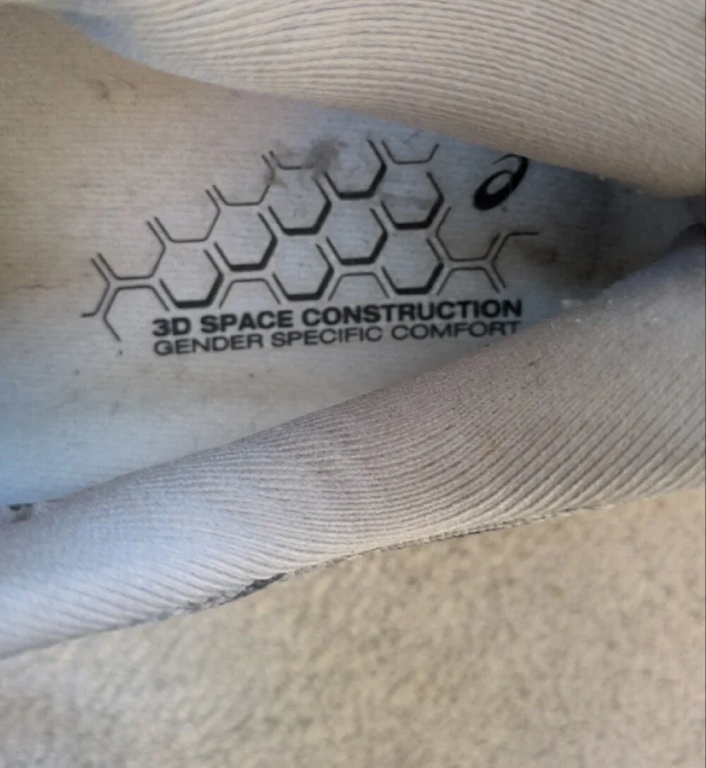 Asics gel kayano