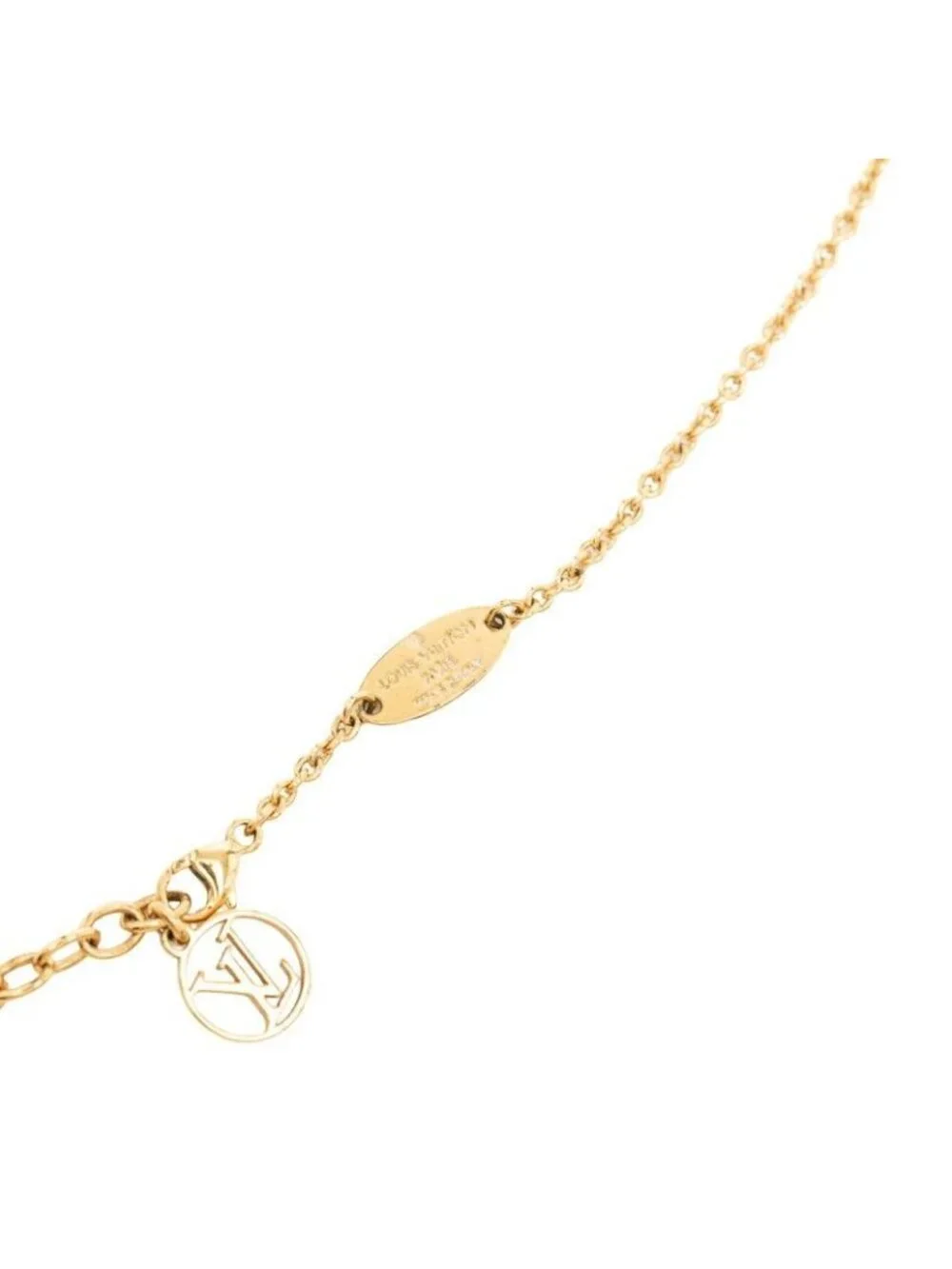 Louis Vuitton brand louis