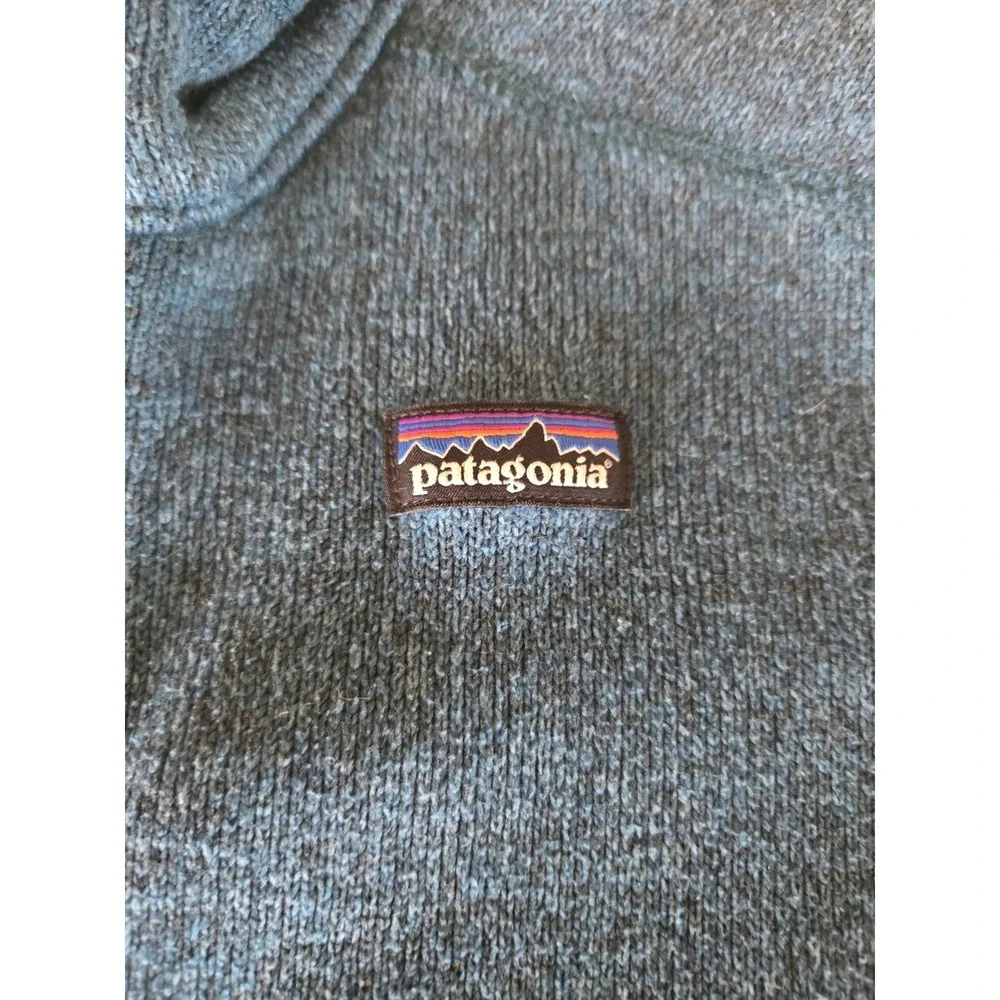 Patagonia worn check