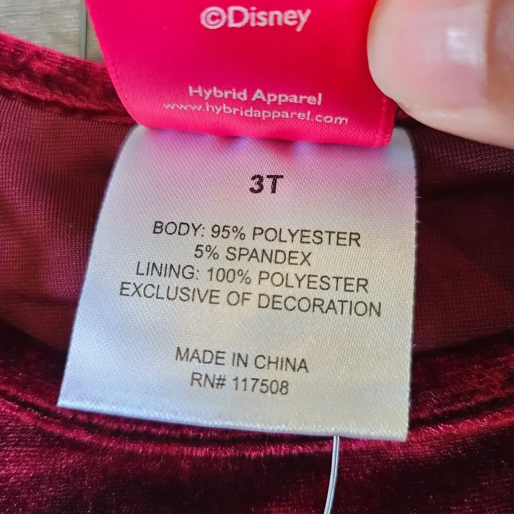 Disney or reminder