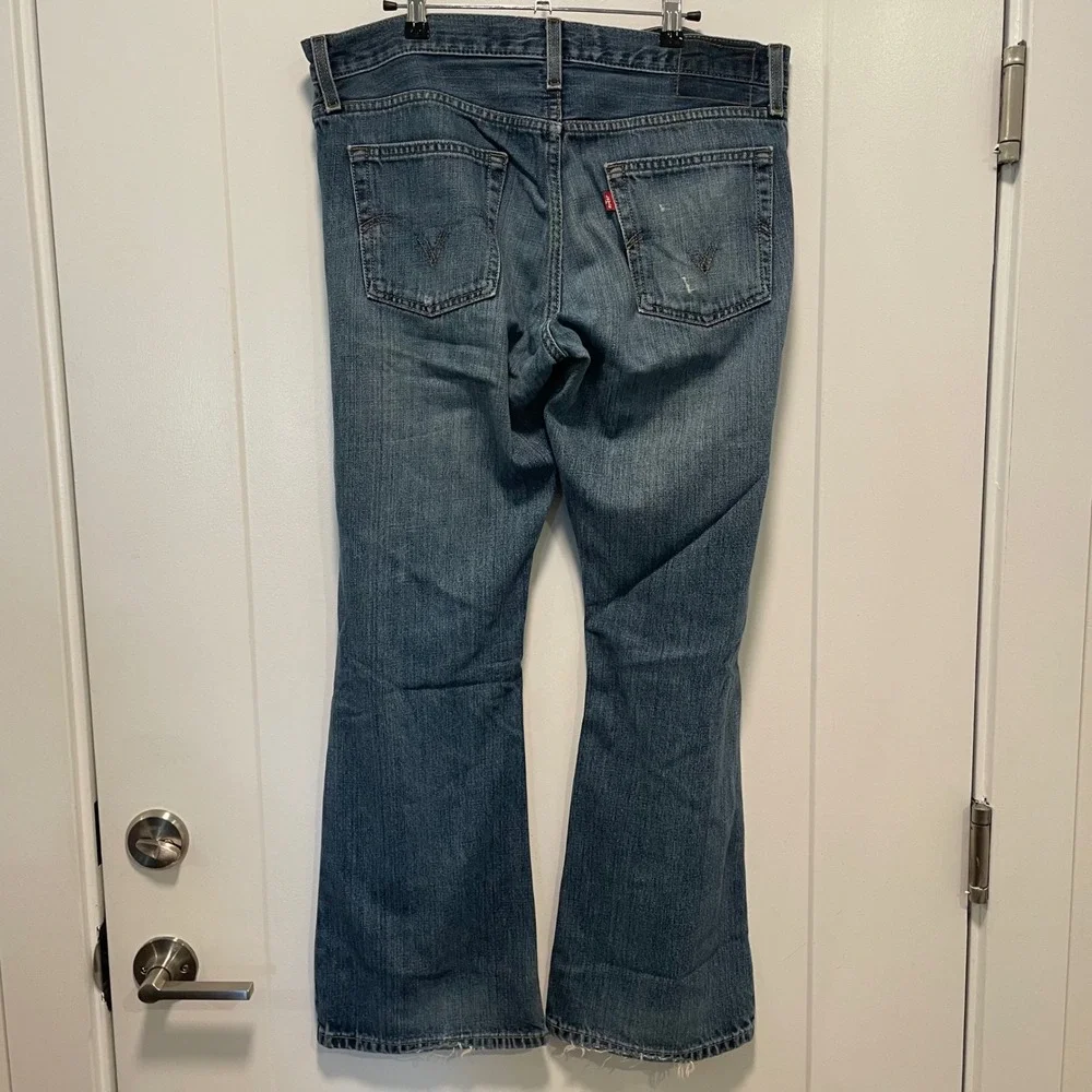 Levis levi 527