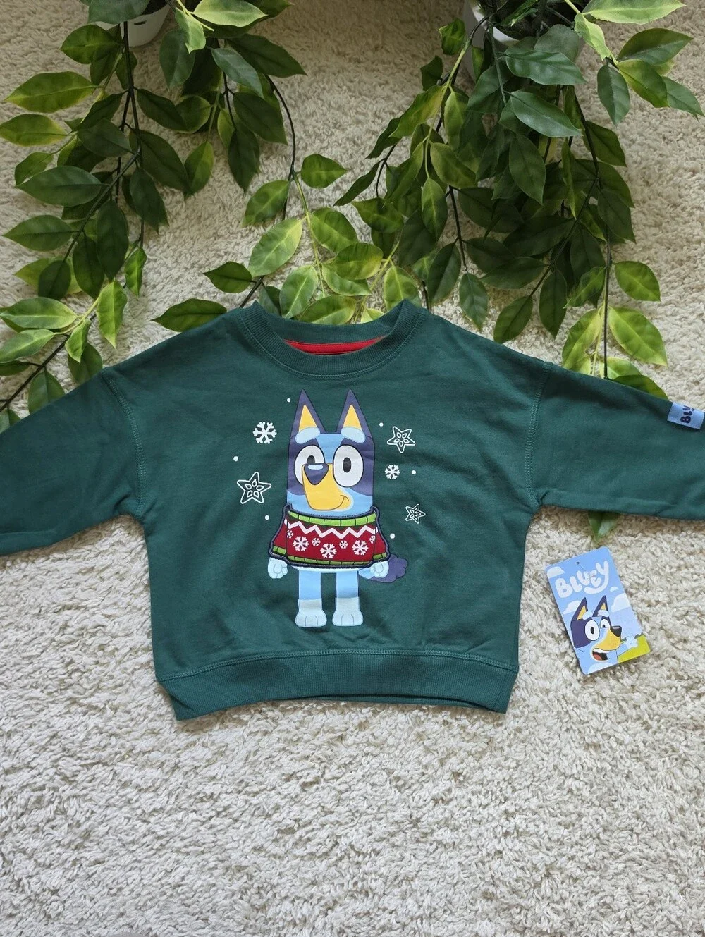 Baby Boy Bluey Christmas Sweatshirt (12-18 Months)
