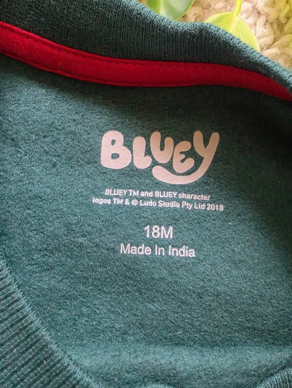 Bluey bnwt adorable