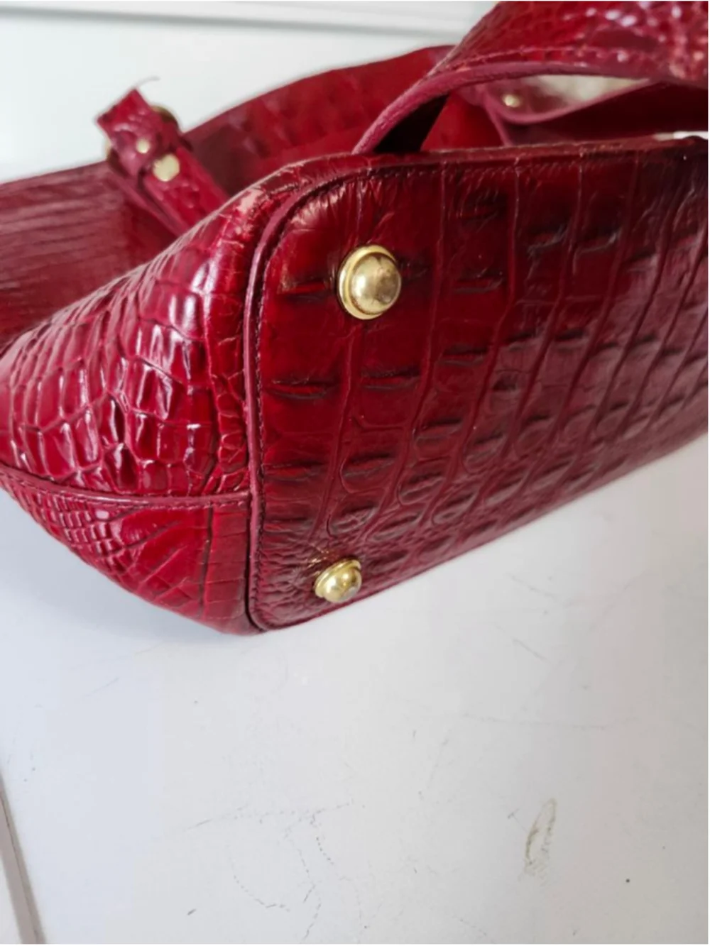Brahmin elevate your