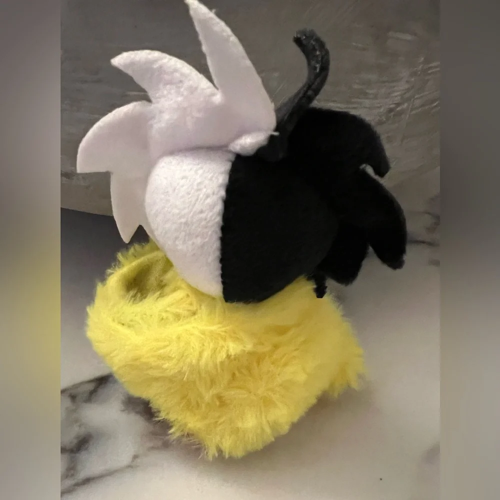 Disney accessories nor owned