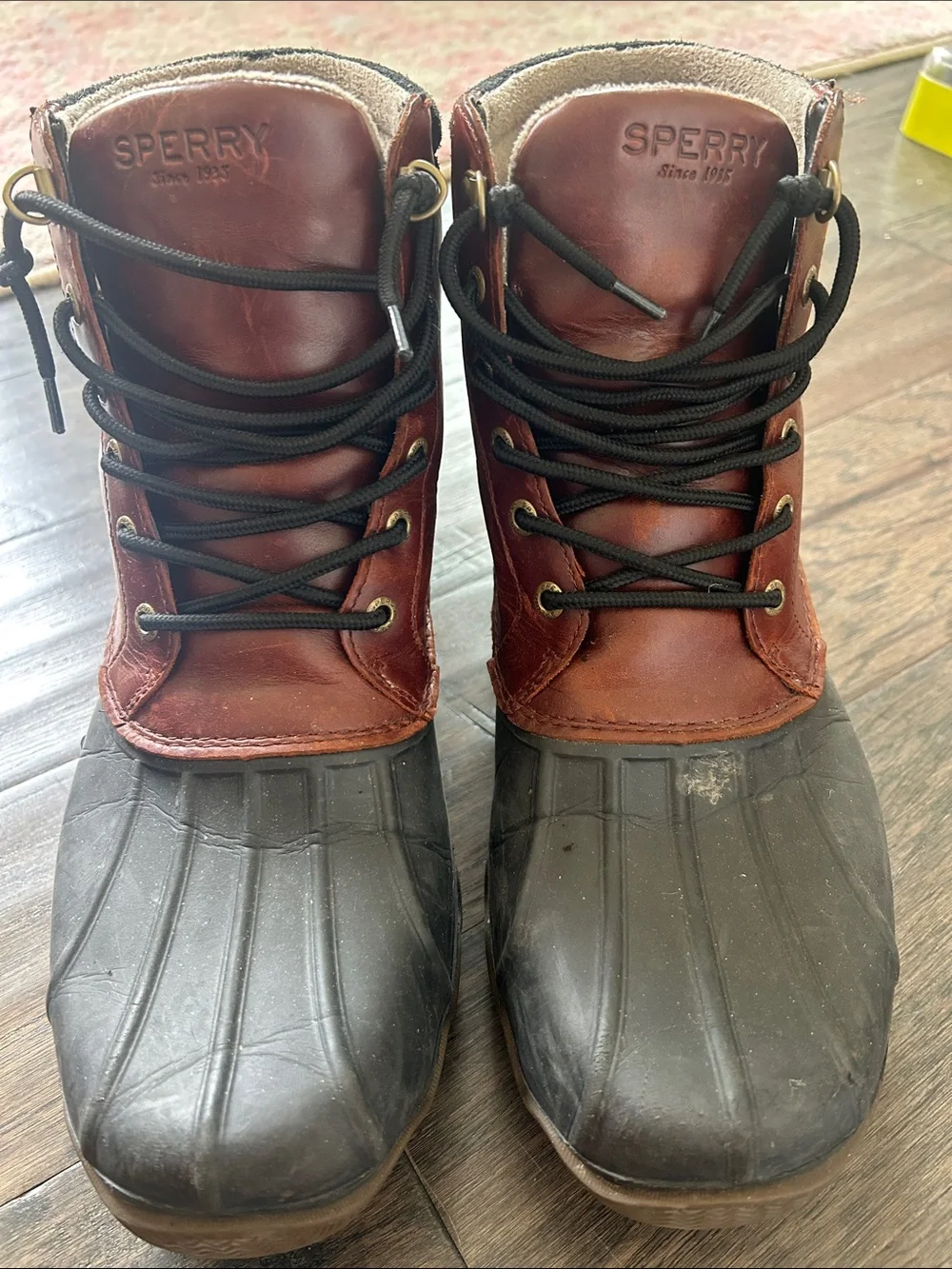 Sperry classic lace