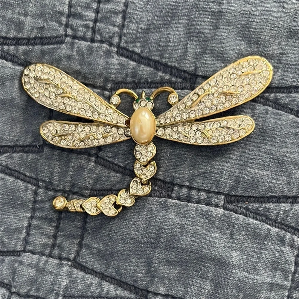 N/A elegant dragonfly