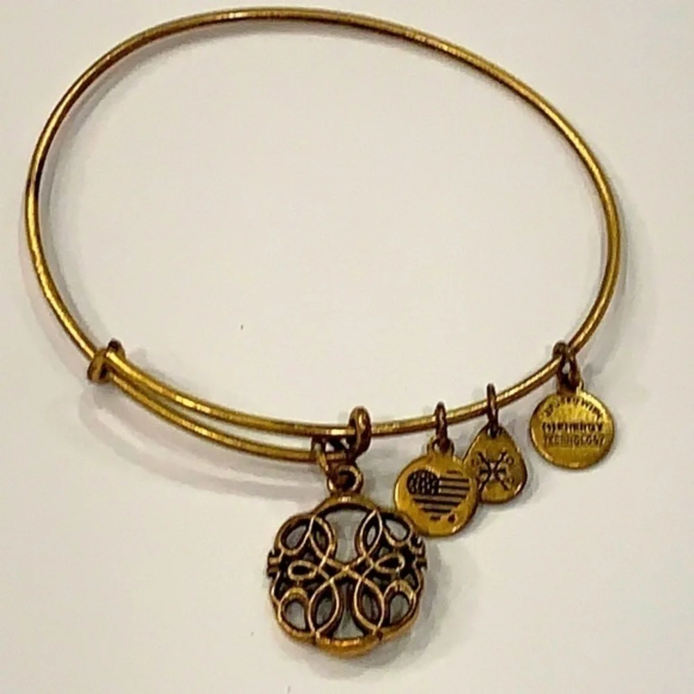 Alex and ani gold tone scroll medallion energy