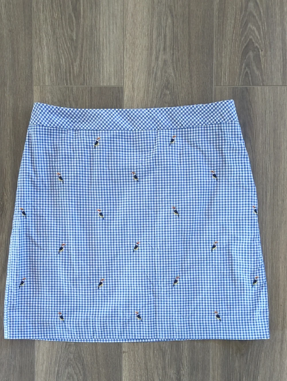 Talbots Blue and White Gingham Mini Skirt with Embroidered Motifs