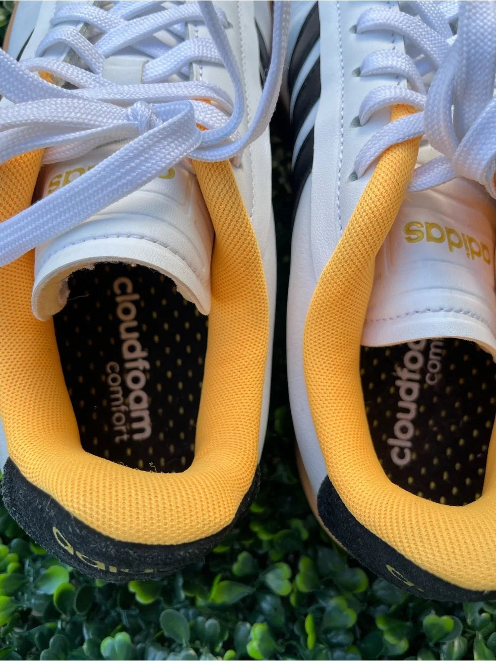 adidas men low