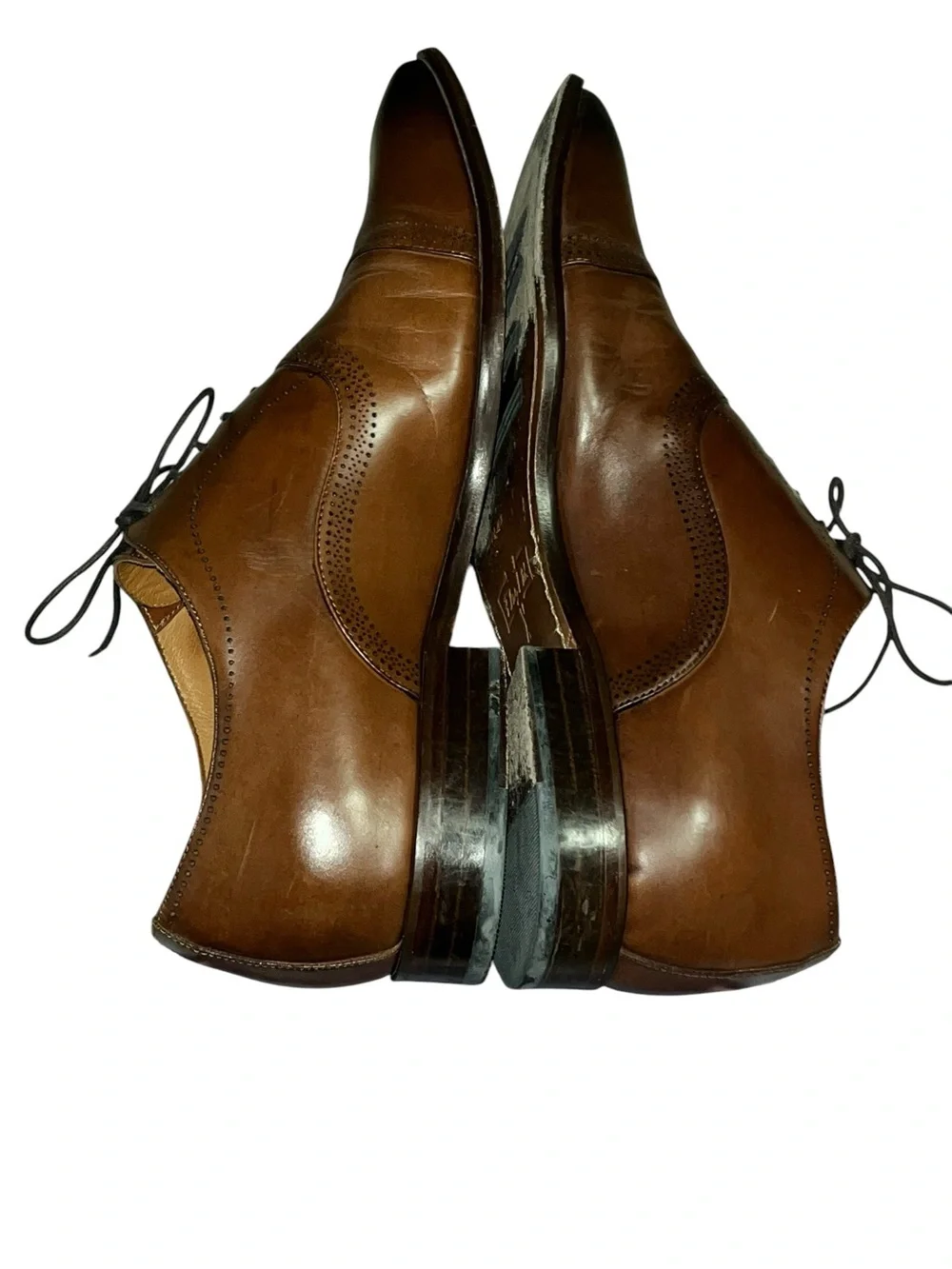 Flag Ltd elegant versatile