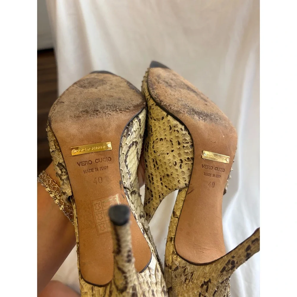 Dolce & Gabbana dolce gabbana