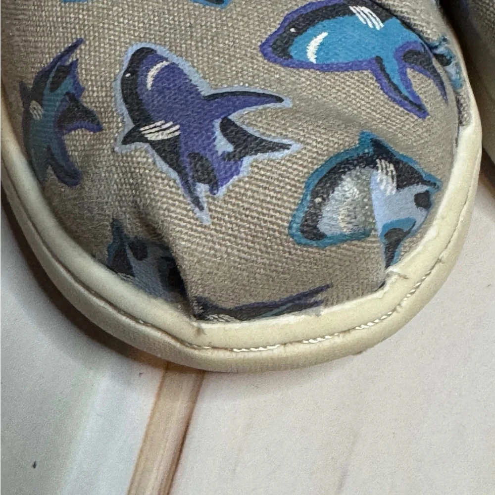 Toms 🦈 toddler