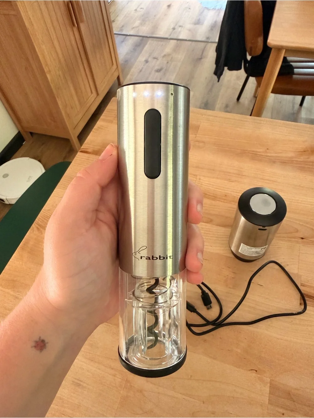 Rabbit rechargeable electric